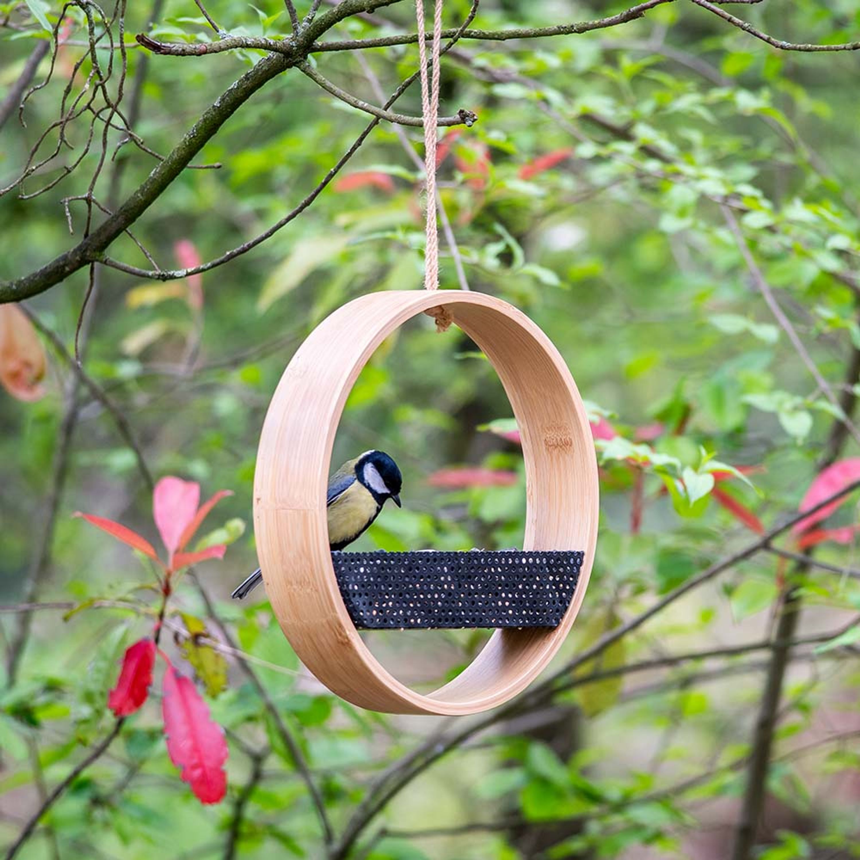 Saaten-Futterhaus „Osaka“ aus Bambus | CJ Wildlife